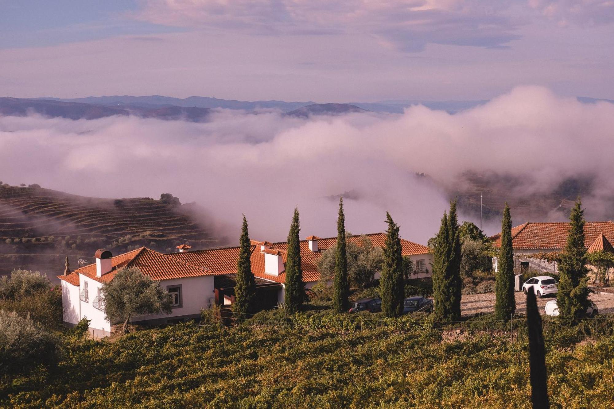 Casal De Tralhariz - Douro Valley Exterior photo